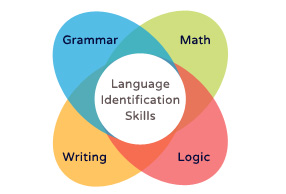 In-Depth Curriculum