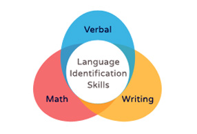 In-Depth Curriculum